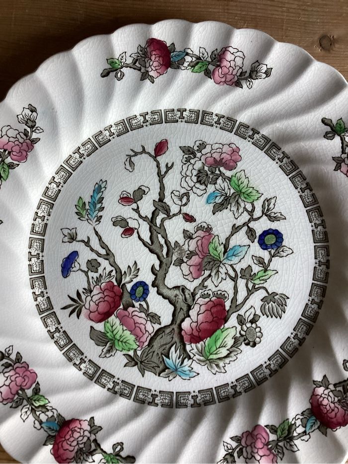 assiette plate colorée à la main arbre indien Myott Staffordshire - photo numéro 2