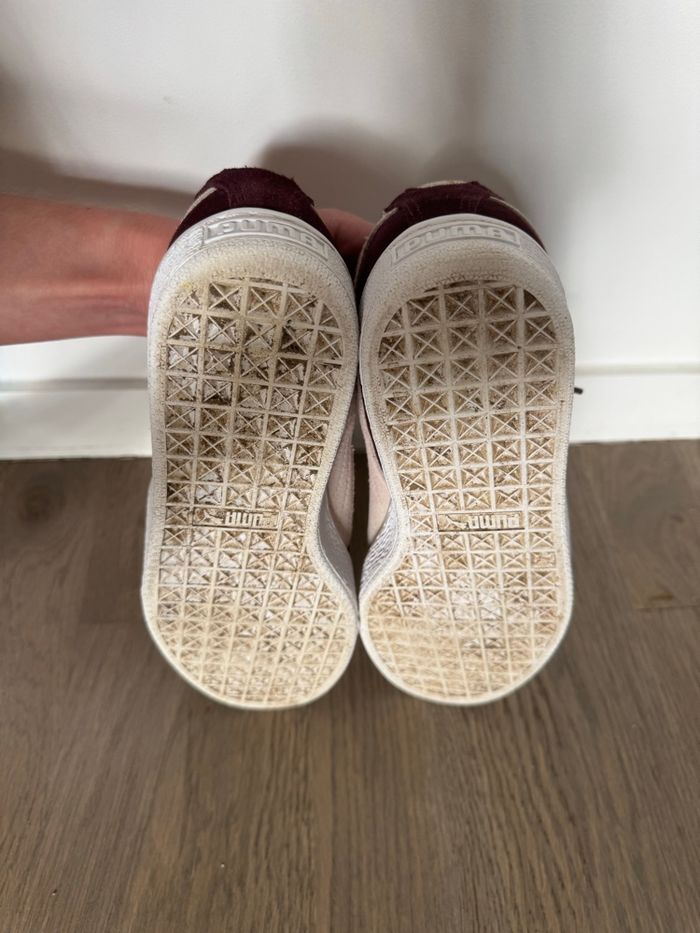 Puma Suède - photo numéro 4