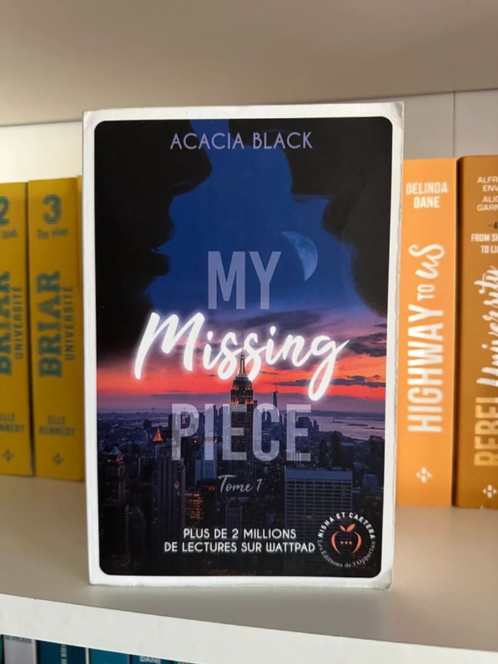 My missing piece