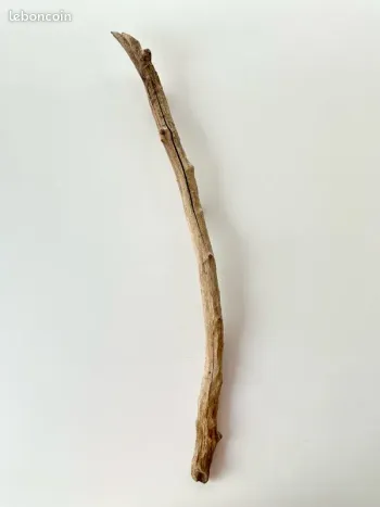 Branche de bois flotté