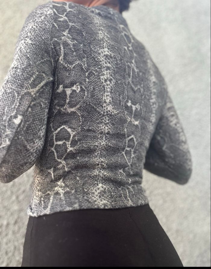 Haut manche longue python Zara - photo numéro 2