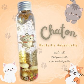 Bouteille sensorielle chat 🐱