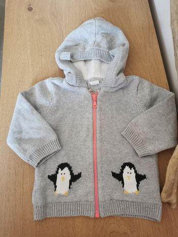 Veste a capuche chaude 9/12mois H&M TBE