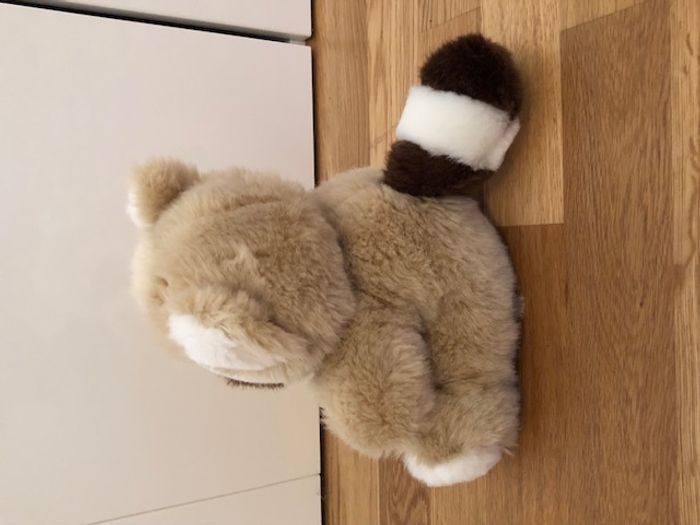 Raton laveur en peluche - photo numéro 2