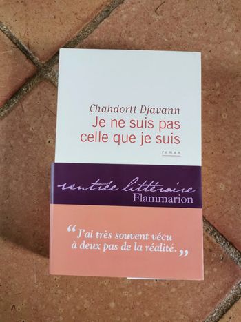 Je ne suis pas celle que je suis, roman de Chahdortt Djavann