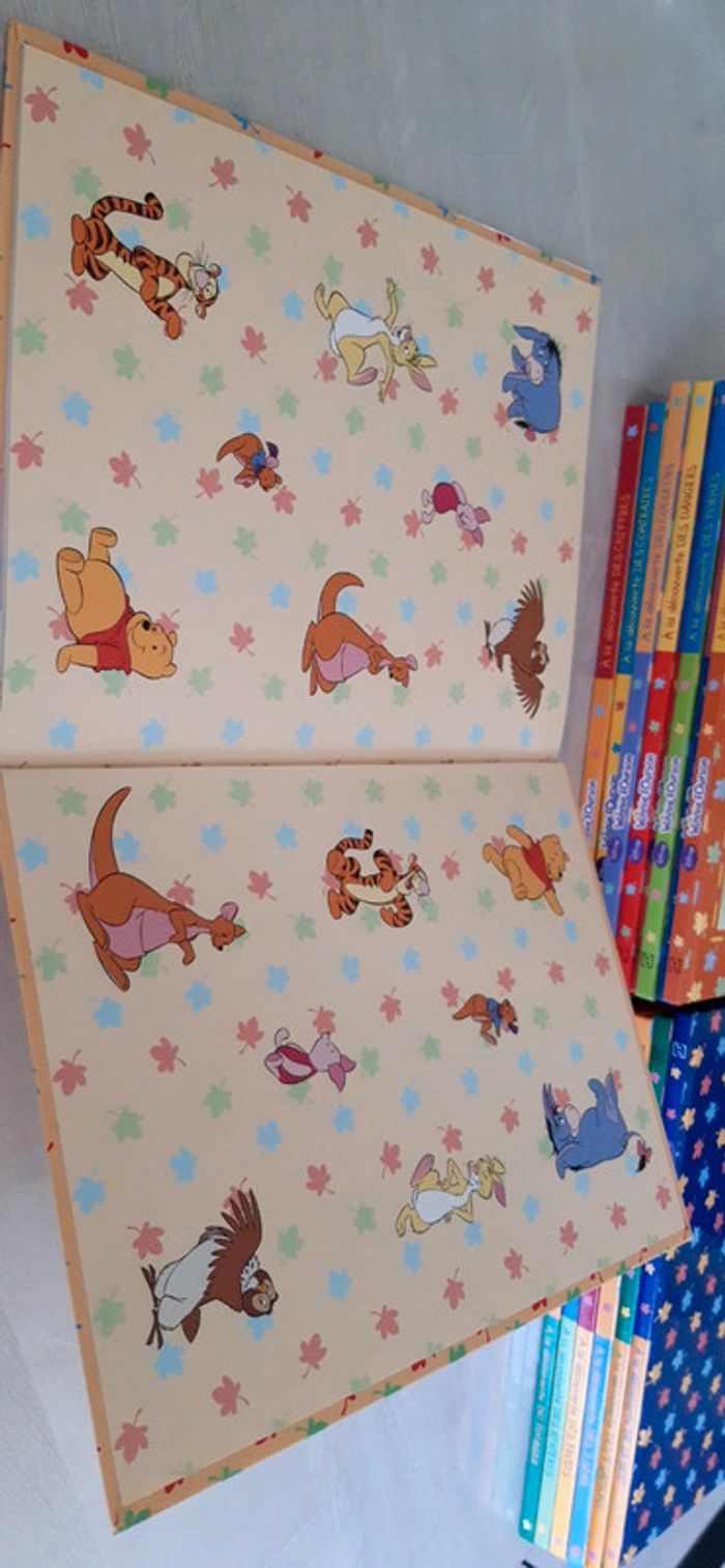 Livre Winnie l'ourson - photo numéro 3