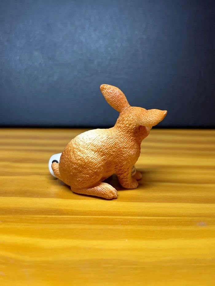 Lapin - photo numéro 2