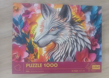Puzzle 1000 pieces