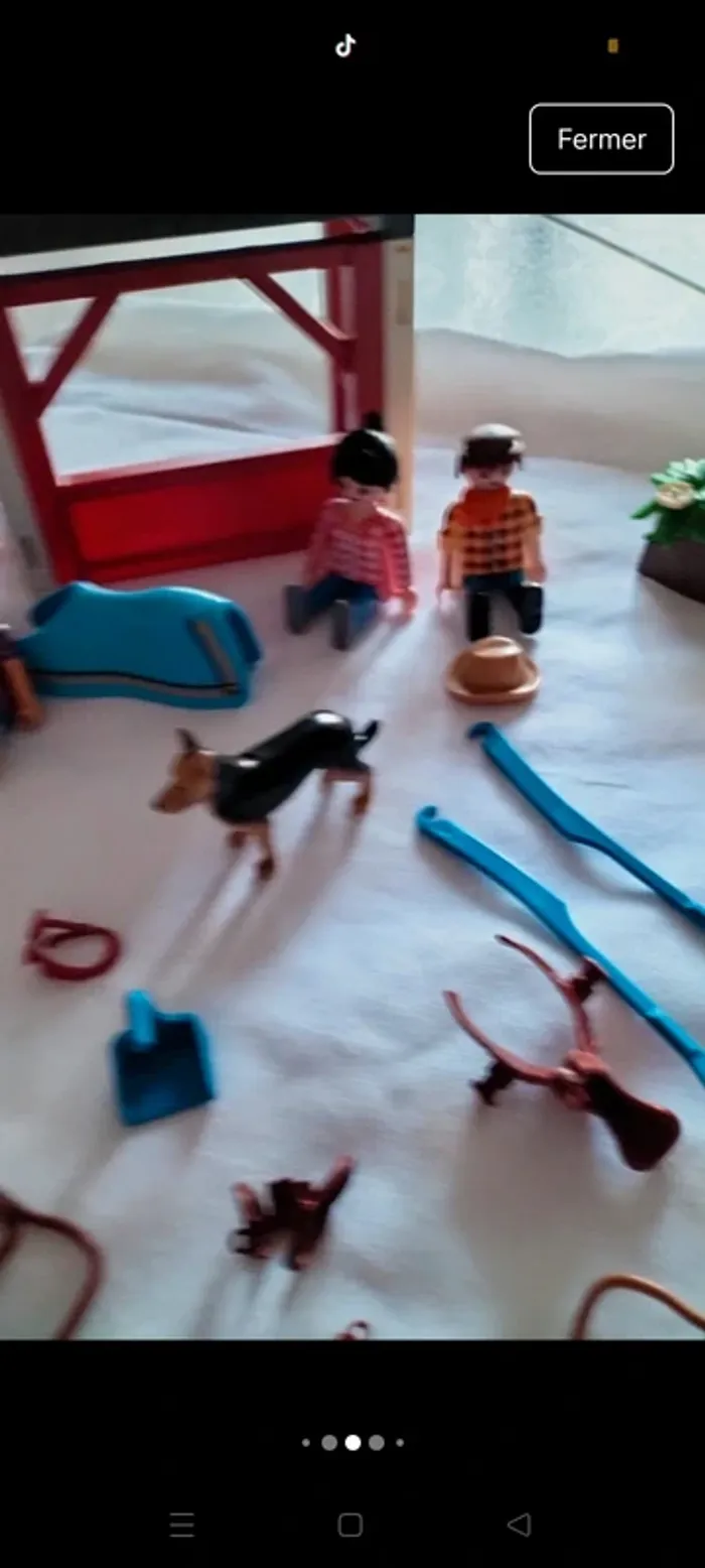 Lot accessoires playmobil - photo numéro 8