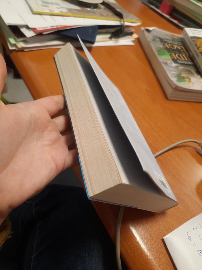 Livre bourdin - photo numéro 4