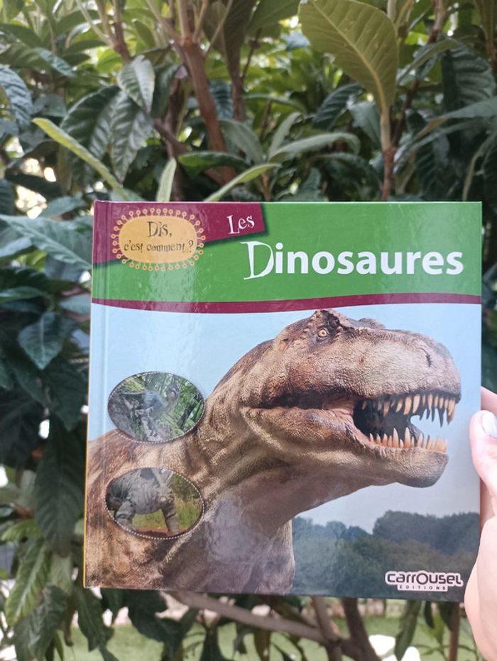 Livre les dinosaures édition carrousel. - photo numéro 2