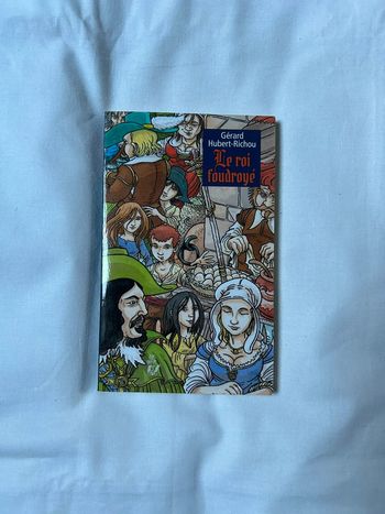 Livre Le roi foudroyé