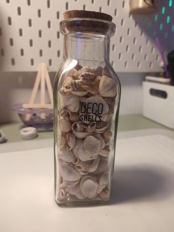 Décoration Coquillage 