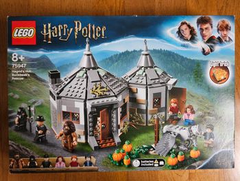 Lego Harry Potter 75947