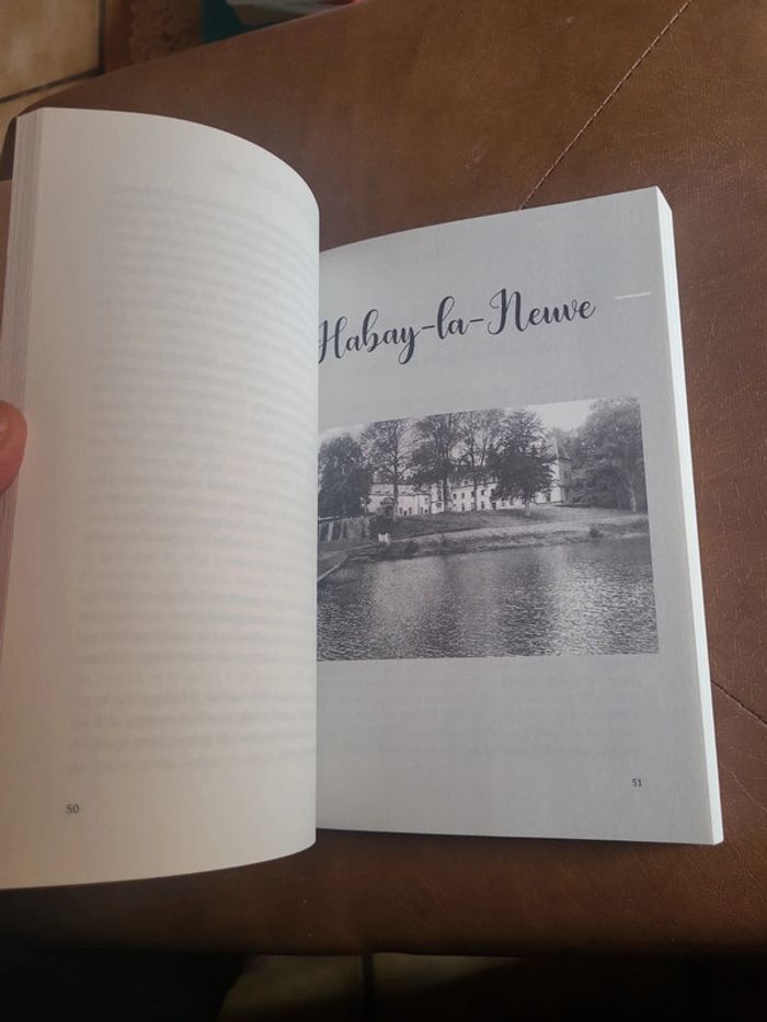 Légendes de la forêt d'anlier - photo numéro 10