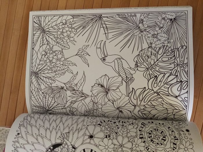 Lot dessin - photo numéro 4