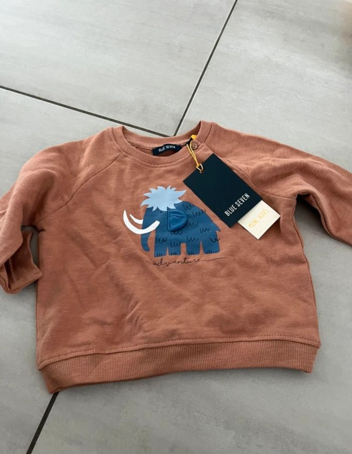 Sweat marron