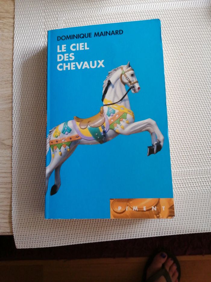 Livre 📖 le ciel des chevaux