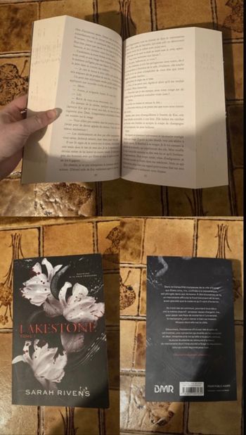 Livre " Lakestone " tome 1