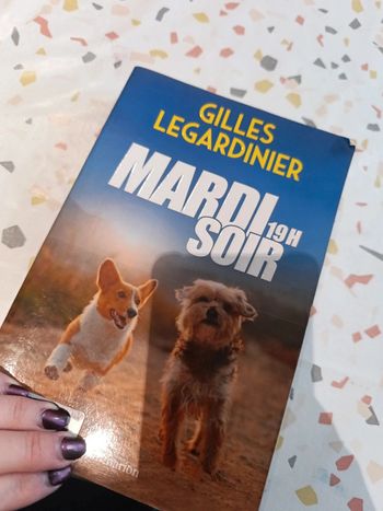 Mardi soir 19h de Gilles legardinier