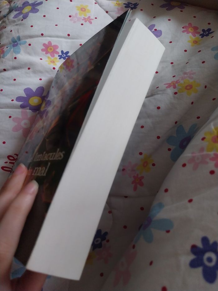 Roman Les Mondes d'Ewilan tome 3 Les tentacules du Mal Pierre Bottero - photo numéro 4