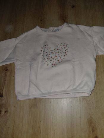 Pull bebe