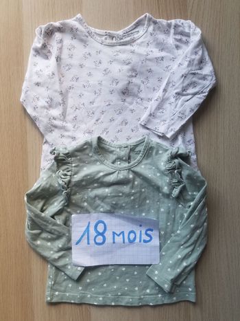 Lot 2 hauts 18 mois Vert