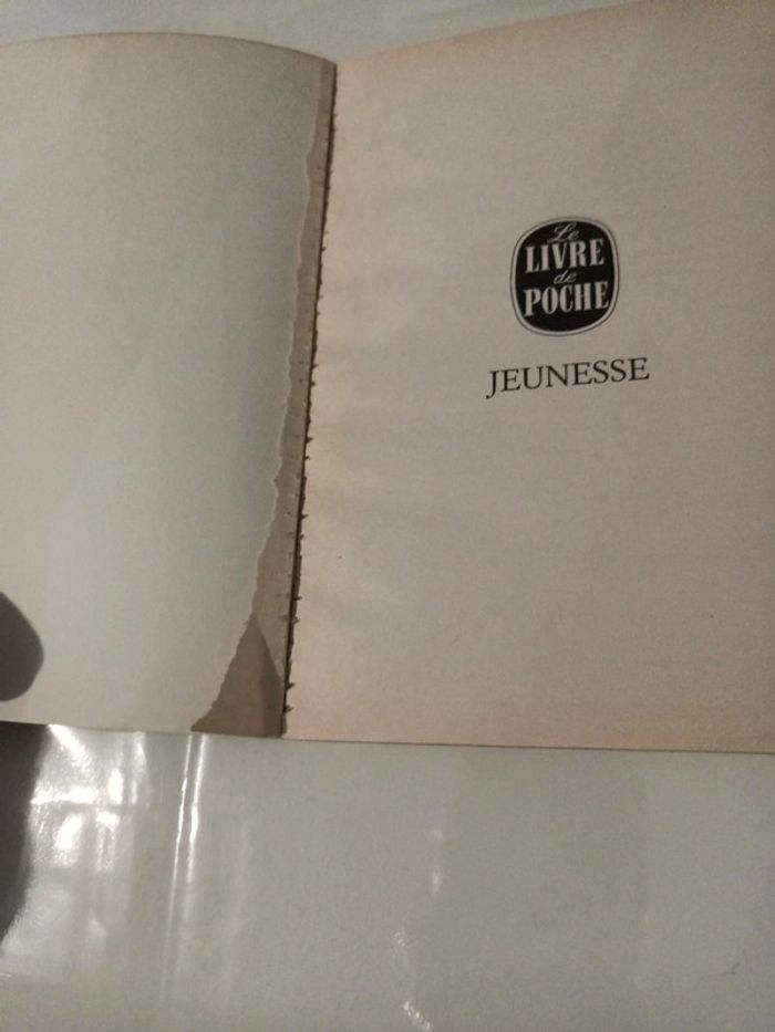 Camille la louve - photo numéro 4