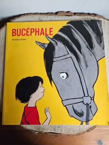 Bucéfale Ecole des Max 🐴