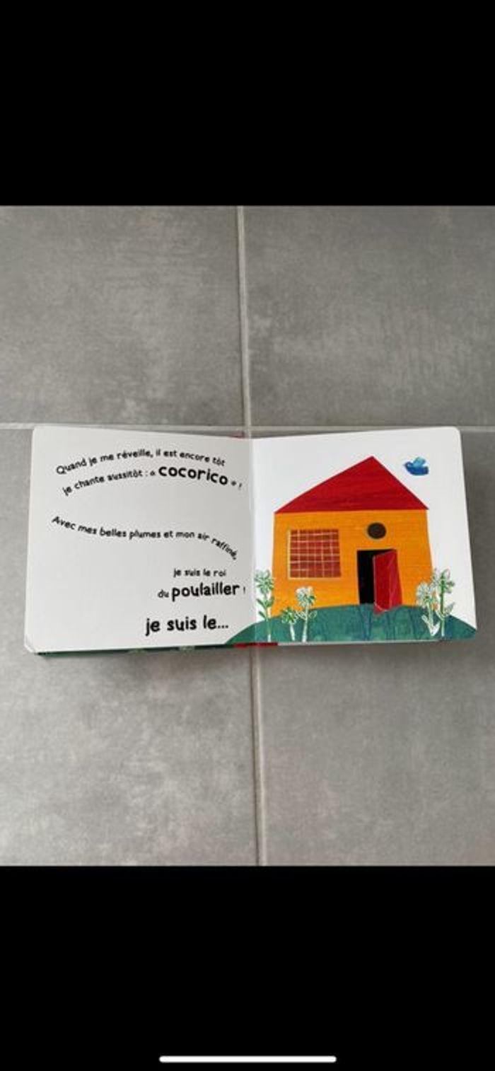 Livre Coucou je vis ici ! - photo numéro 7