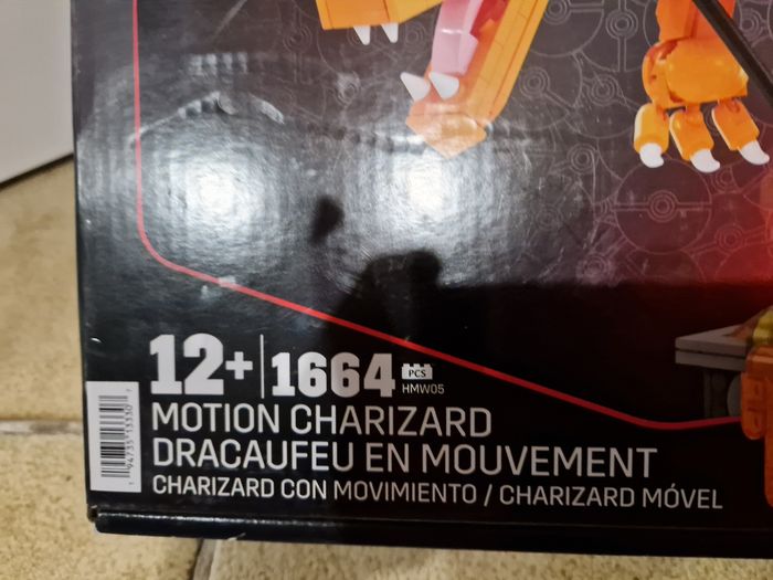 Pokémon Dracofeu en mouvement - photo numéro 5
