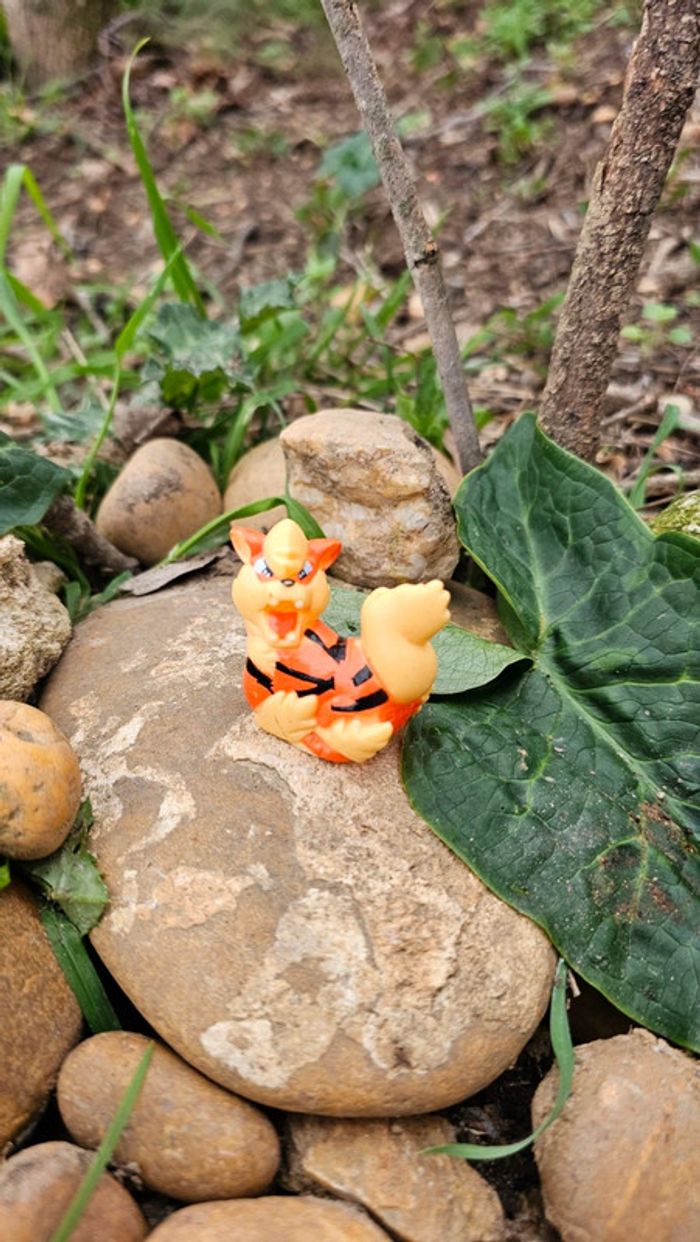 Super figurine Pokemon Nintendo bondai Arcanin - photo numéro 2