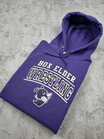 Sweat capuche universitaire violet L Hommes (mesures en photos)