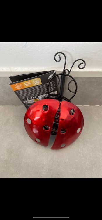 Coccinelle 🐞 solaire