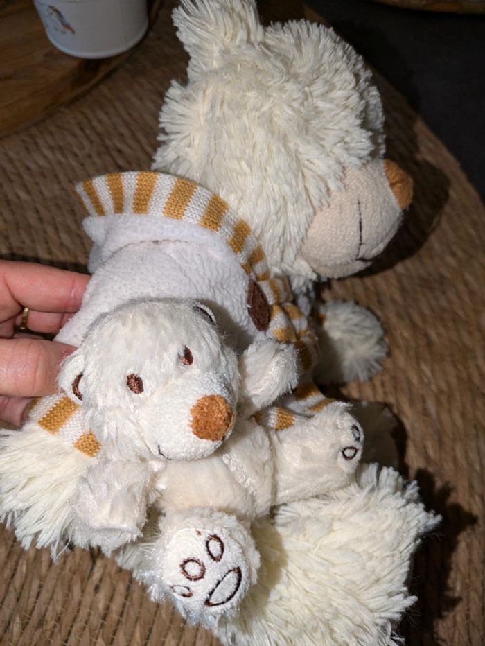 Petit ourson avec son bébé - photo numéro 3