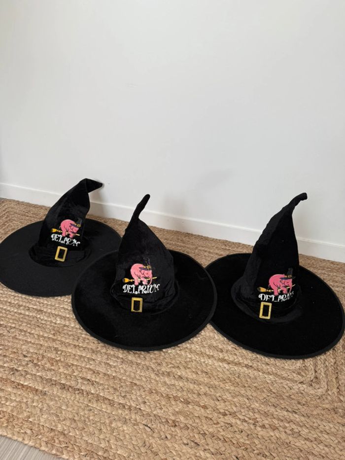 Chapeau de sorcière Halloween déguisement décoration collection Collector - photo numéro 3