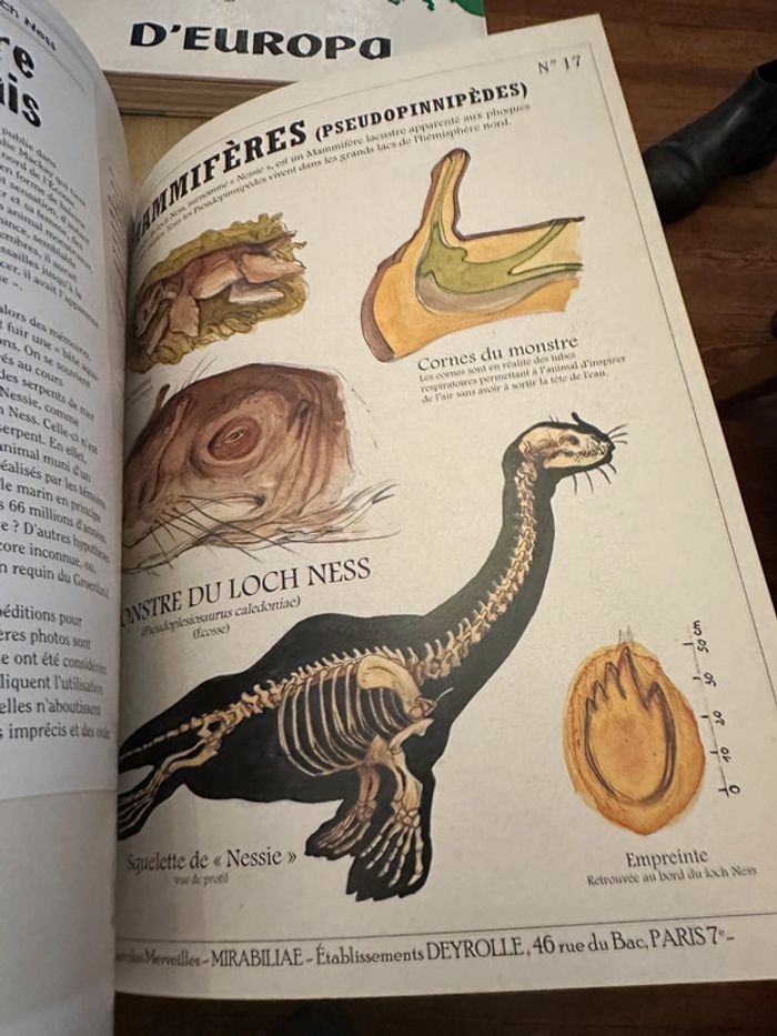 Deyrolle Les Histoires vraies des Créatures Fantastiques Plume de Carotte - photo numéro 9