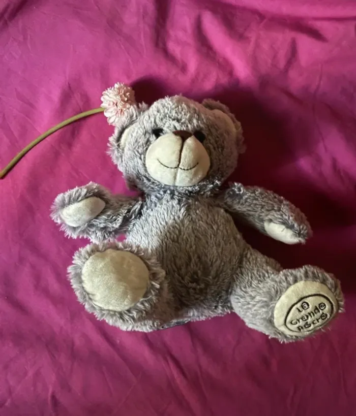 Ours en peluche