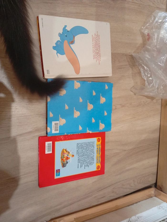 Lot de 3 livres Disney - photo numéro 5