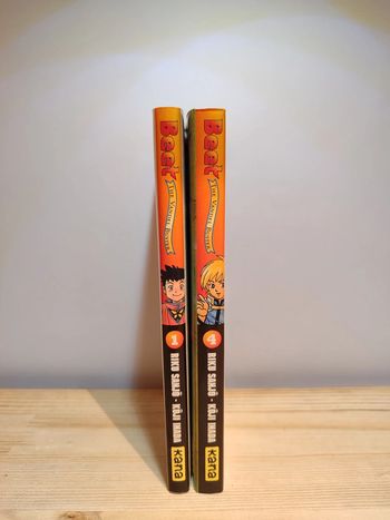 Lot de 2 manga Beet The Vandel Buster