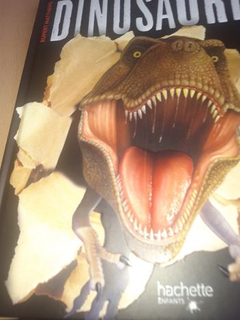 Album Le livre de tous les secrets dinosaures