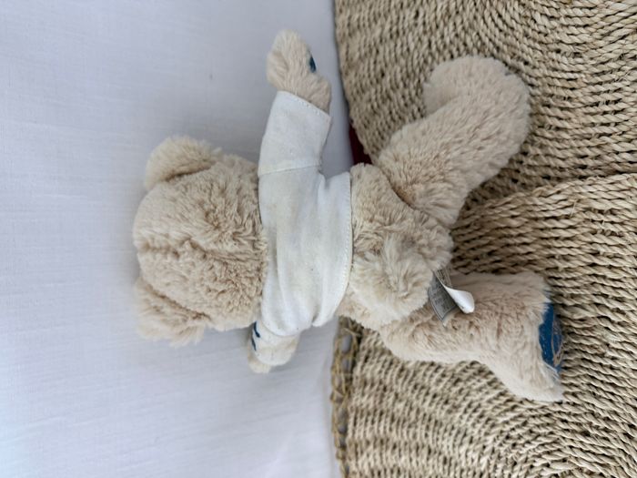 Histoire d'Ours Peluche Fashion Ours USA - photo numéro 5
