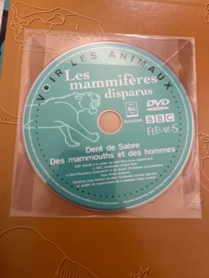 Lot 3 livres dinosaure - photo numéro 3