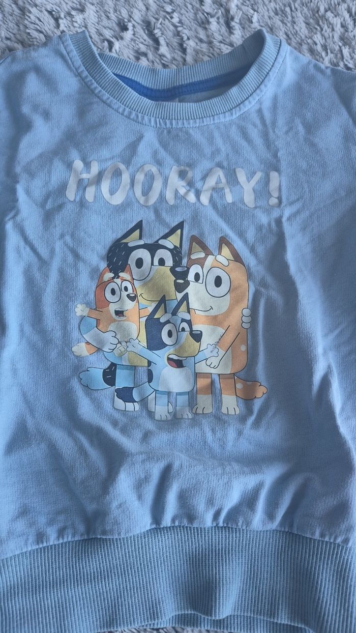 Pull Bluey garçon 5 ans - photo numéro 3