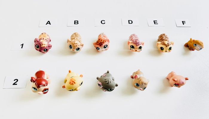 Petshop Cochon d’Inde - 2€ l’unité