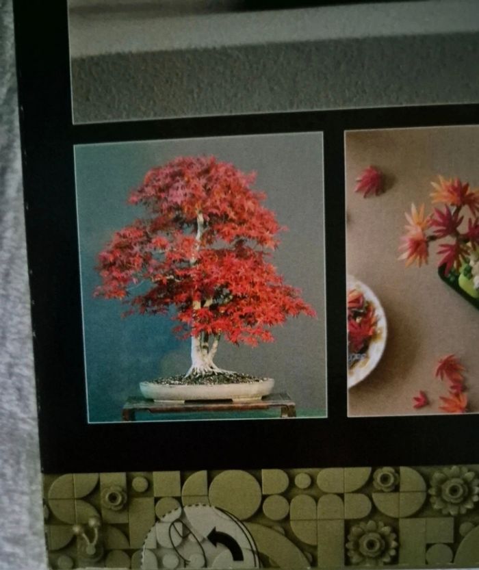 Lego botanicals - photo numéro 6