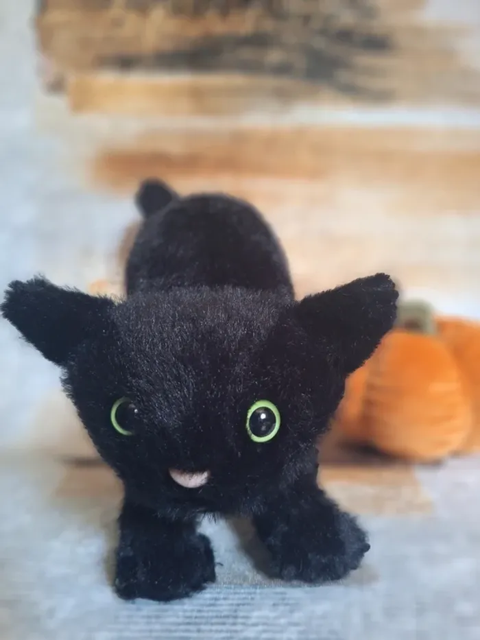 Spookipaws Cat jellycat - photo numéro 3