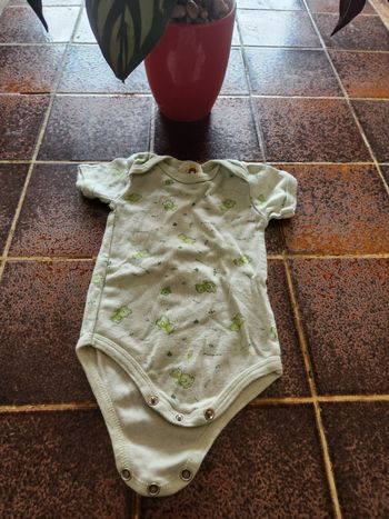 Body manches courtes