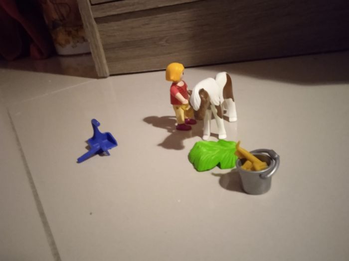 Playmobil 70416 enfant et son poney