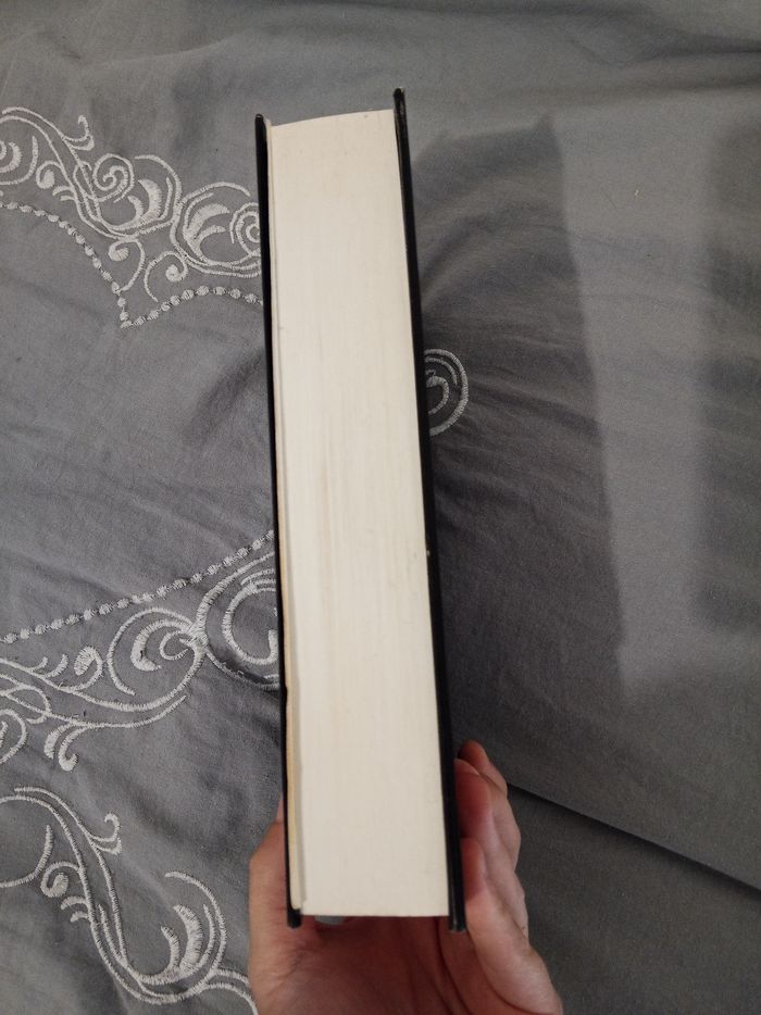 Livre (23) 📚 Le Monte-Cristo d'aujourd'hui - photo numéro 4